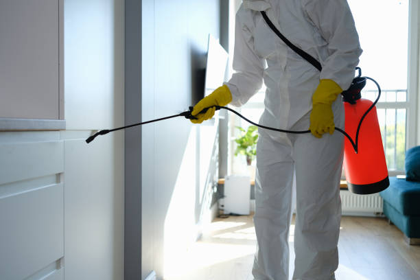 Best Mold Remediation for Specific Building Types in Williston Highlands, FL